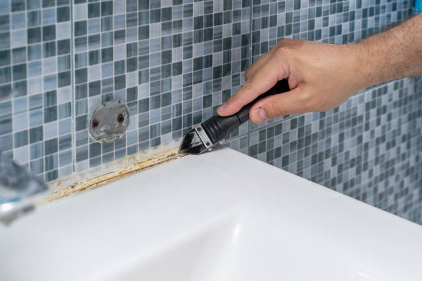 Best Kitchen Mold Remediation in Blaine, TN