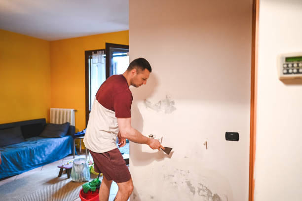 Best Post-Remediation Services in Blaine, TN